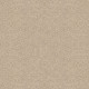 ALLURING CANVAS - Sun Kissed 00110