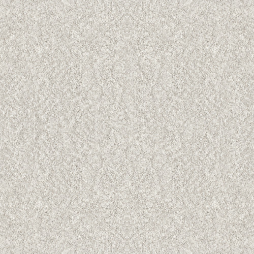 ALLURING CANVAS - Gallery Opening 00125