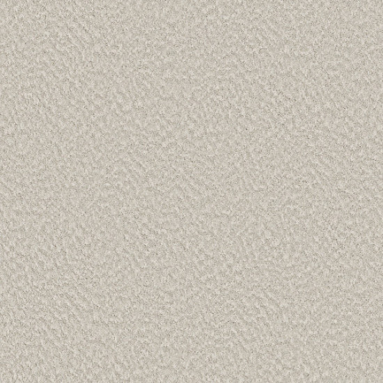 ALLURING CANVAS - Champagne Toast 00153