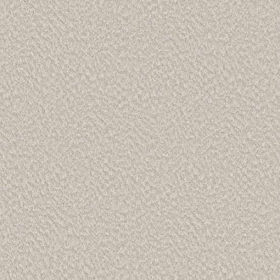 ALLURING CANVAS - Champagne Toast 00153 ALLURING CANVAS - Champagne Toast 00153