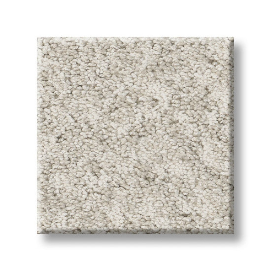 ALLURING CANVAS - Champagne Toast 00153 ALLURING CANVAS - Champagne Toast 00153
