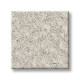 ALLURING CANVAS - Champagne Toast 00153 ALLURING CANVAS - Champagne Toast 00153