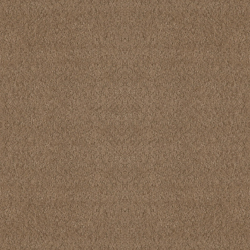 ALLURING CANVAS - Raw Wood 00720
