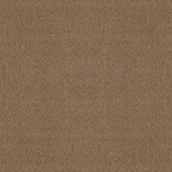 ALLURING CANVAS - Raw Wood 00720 ALLURING CANVAS - Raw Wood 00720