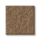 ALLURING CANVAS - Raw Wood 00720