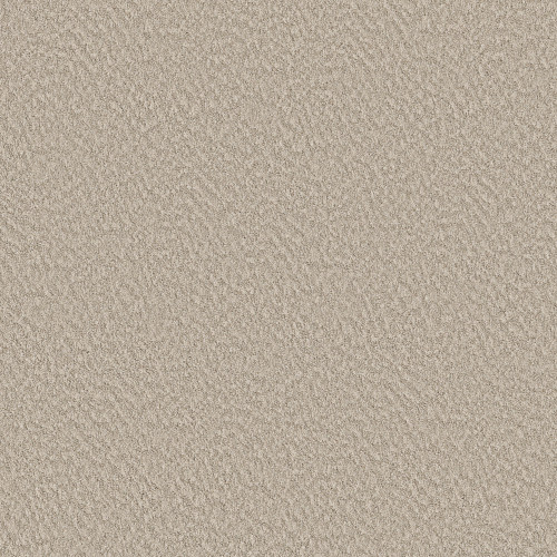 ALLURING CANVAS - Sandstone 00743