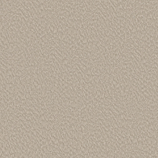 ALLURING CANVAS - Sandstone 00743