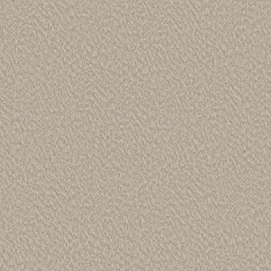 ALLURING CANVAS - Sandstone 00743