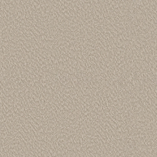 ALLURING CANVAS - Sandstone 00743