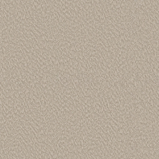 ALLURING CANVAS - Sandstone 00743