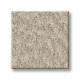 ALLURING CANVAS - Sandstone 00743