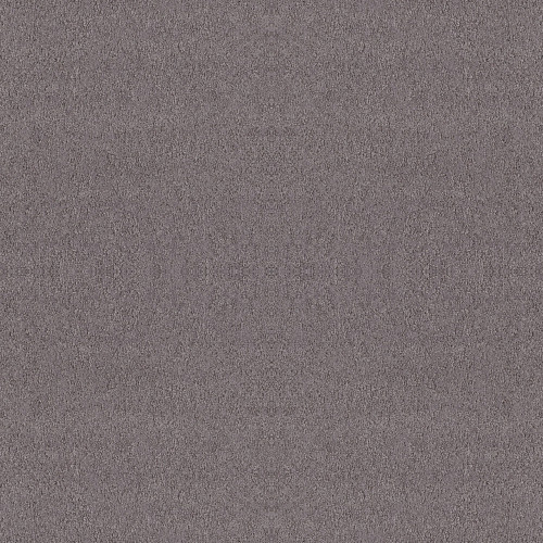ALLURING CANVAS - Deep Connection 00902
