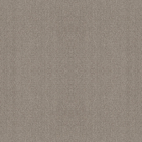 FINE TAPESTRY - Fossil Path 00108