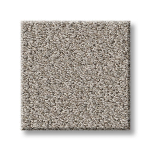 FINE TAPESTRY - Fossil Path 00108