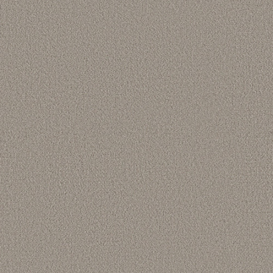 FINE TAPESTRY - Fossil Path 00108 FINE TAPESTRY - Fossil Path 00108