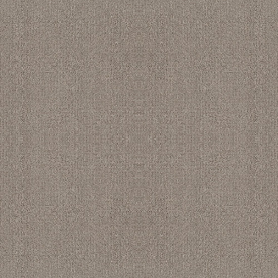 FINE TAPESTRY - Fossil Path 00108 FINE TAPESTRY - Fossil Path 00108