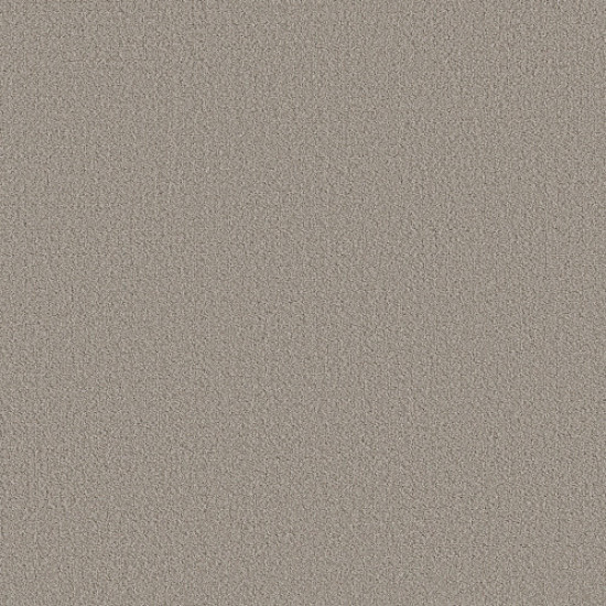 FINE TAPESTRY - Fossil Path 00108 FINE TAPESTRY - Fossil Path 00108