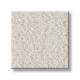 FINE TAPESTRY - Champagne Toast 00153