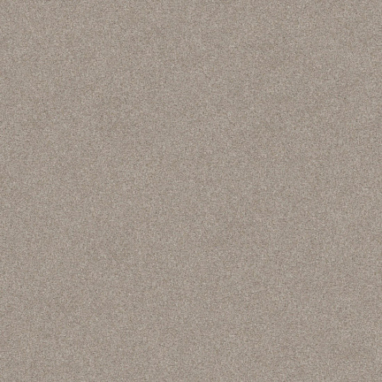 HARMONIOUS III - Fossil Path 00108 HARMONIOUS III - Fossil Path 00108