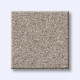 HARMONIOUS III - Fossil Path 00108 HARMONIOUS III - Fossil Path 00108