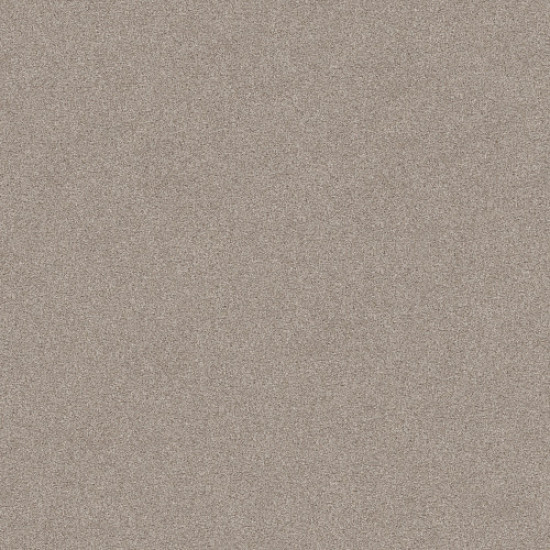 HARMONIOUS III - Fossil Path 00108 HARMONIOUS III - Fossil Path 00108