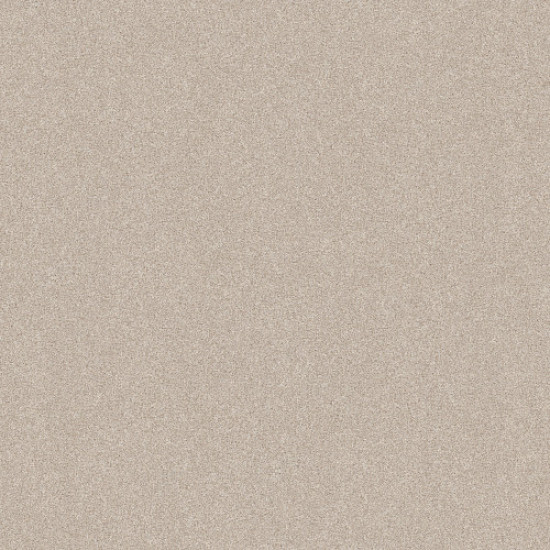 HARMONIOUS III - Champagne Toast 00153