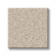 HARMONIOUS III - Champagne Toast 00153