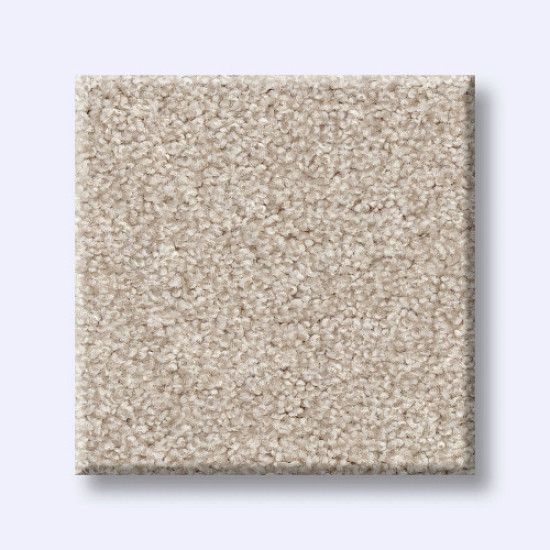 HARMONIOUS III - Champagne Toast 00153