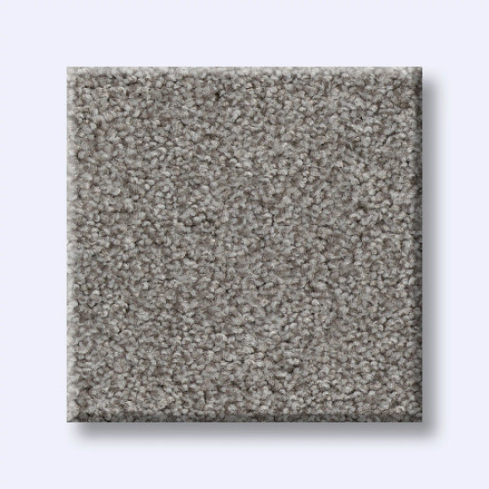 HARMONIOUS III - Grey Fox 00504