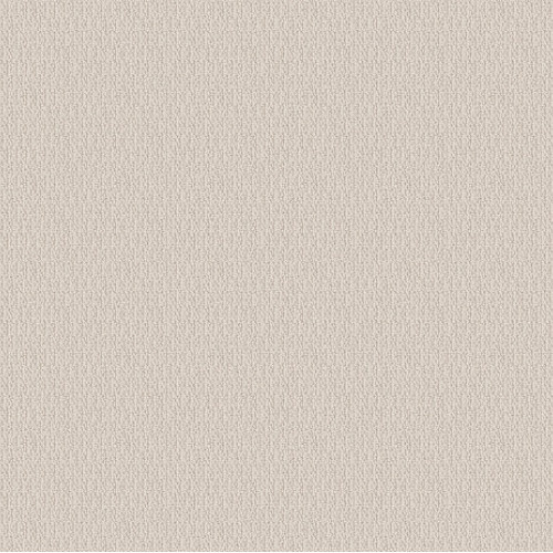 LOOP DE LOOP - Canvas 00103