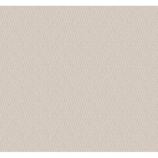 LOOP DE LOOP - Canvas 00103 LOOP DE LOOP - Canvas 00103