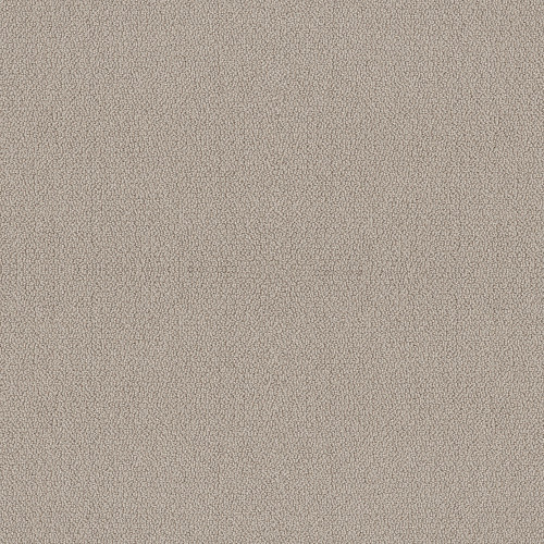 EMBELLISHED - Birch 00118