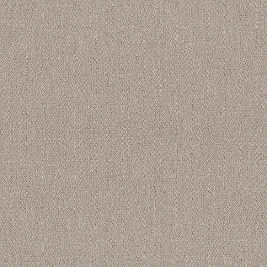 EMBELLISHED - Birch 00118