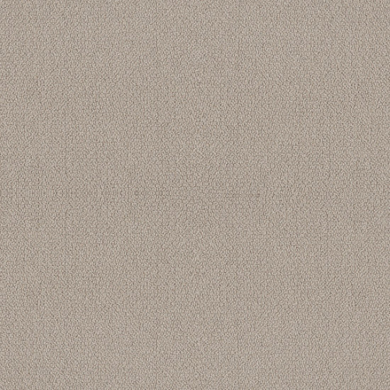 EMBELLISHED - Birch 00118