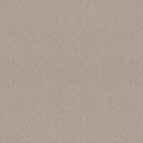 EMBELLISHED - Birch 00118