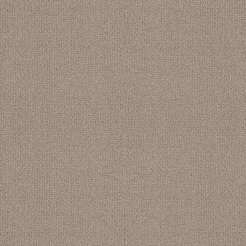 EMBELLISHED - Perfect Taupe 00119