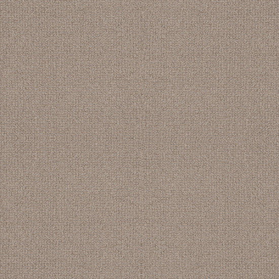 EMBELLISHED - Perfect Taupe 00119