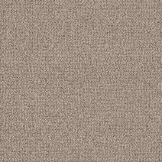 EMBELLISHED - Perfect Taupe 00119