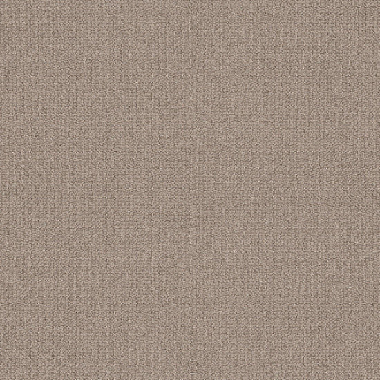 EMBELLISHED - Perfect Taupe 00119
