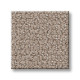 EMBELLISHED - Perfect Taupe 00119