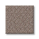 EMBELLISHED - Chestnut 00711