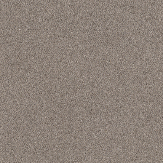 TRUSPLENDOR - Concrete 00507