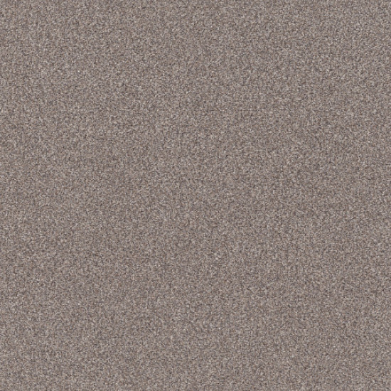 TRUSPLENDOR - Stainless 00508