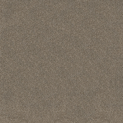 TRUSPLENDOR - Truffle 00701