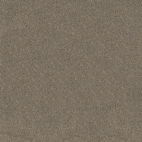 TRUSPLENDOR - Truffle 00701