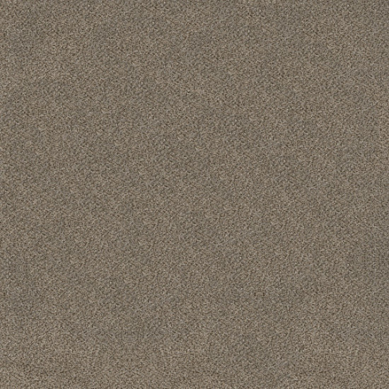 TRUSPLENDOR - Truffle 00701 TRUSPLENDOR - Truffle 00701