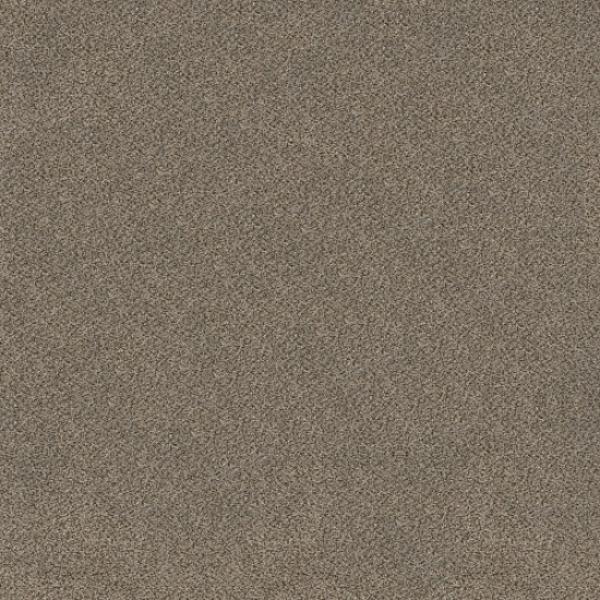 TRUSPLENDOR - Truffle 00701 TRUSPLENDOR - Truffle 00701