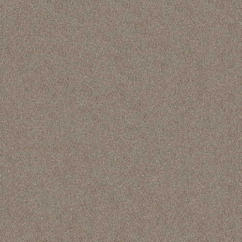 TRUSPLENDOR - Timeless Tan 00704