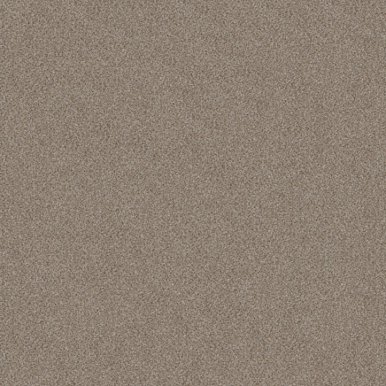 TRUSPLENDOR - Timeless Tan 00704 TRUSPLENDOR - Timeless Tan 00704