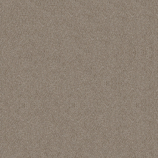TRUSPLENDOR - Timeless Tan 00704 TRUSPLENDOR - Timeless Tan 00704